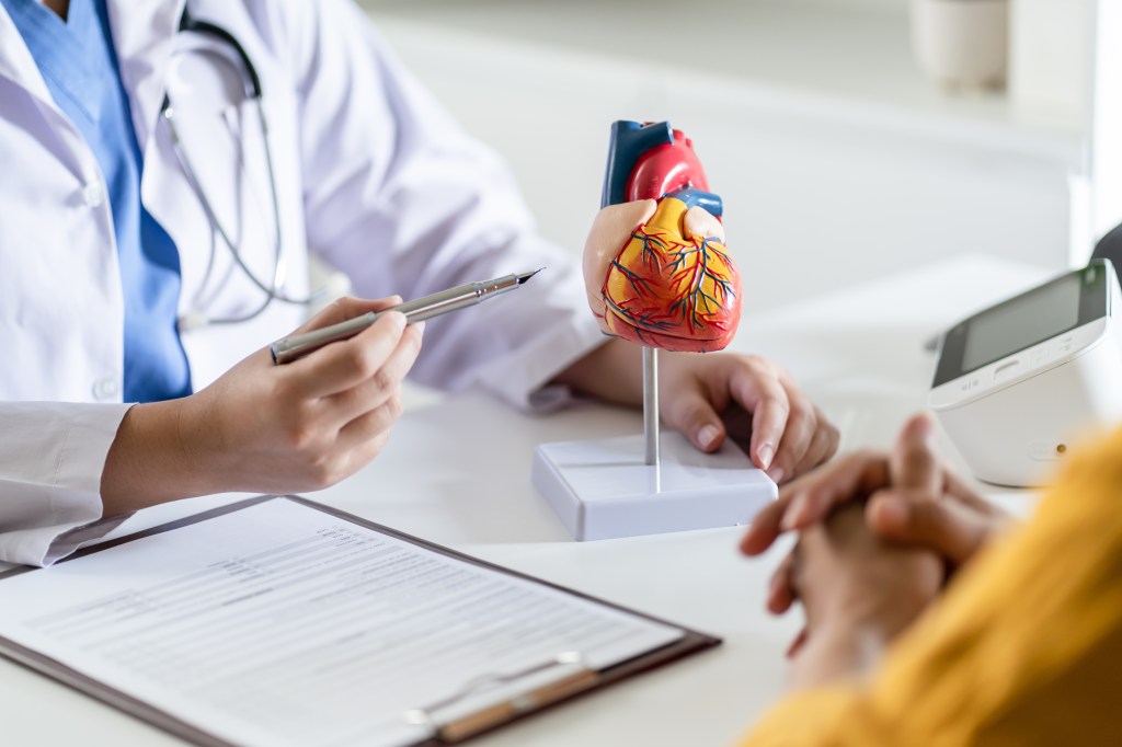 Doctor showing model of a heart in an office