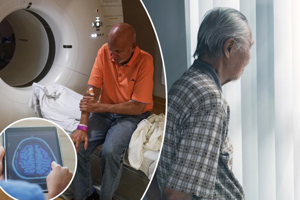 Top 5 Alzheimer's discoveries scientists will make in 2024