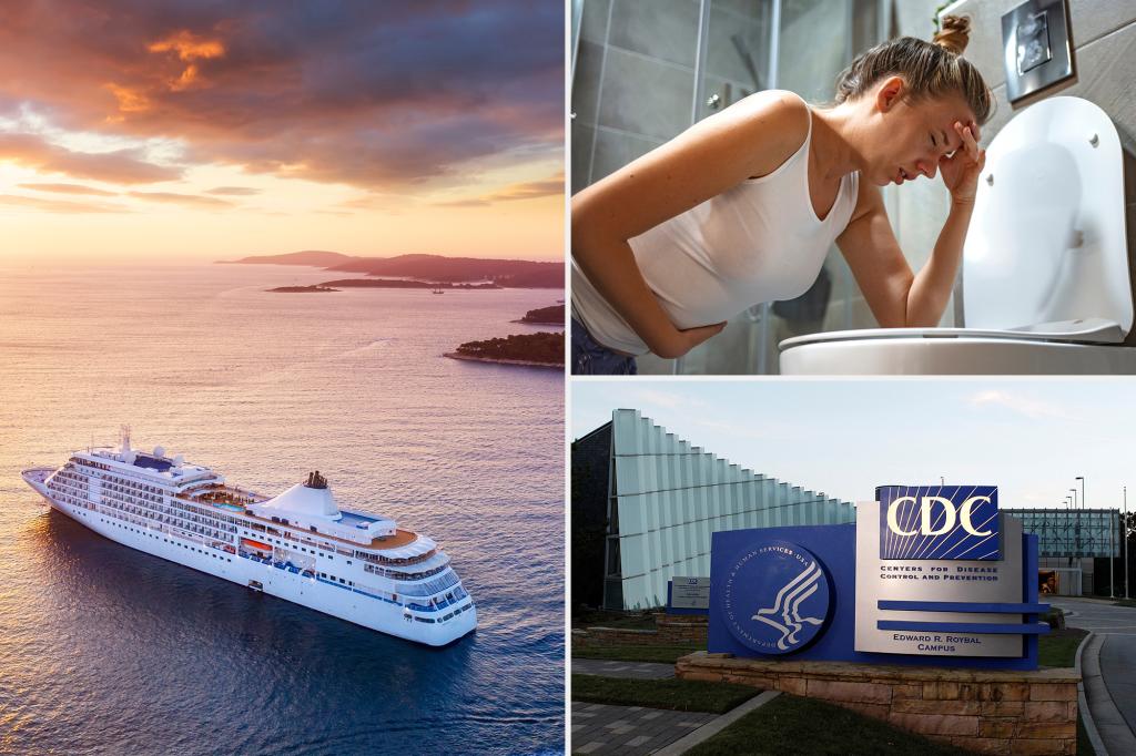 2024 was worst year for stomach virus outbreaks on cruise ships in decade: CDC