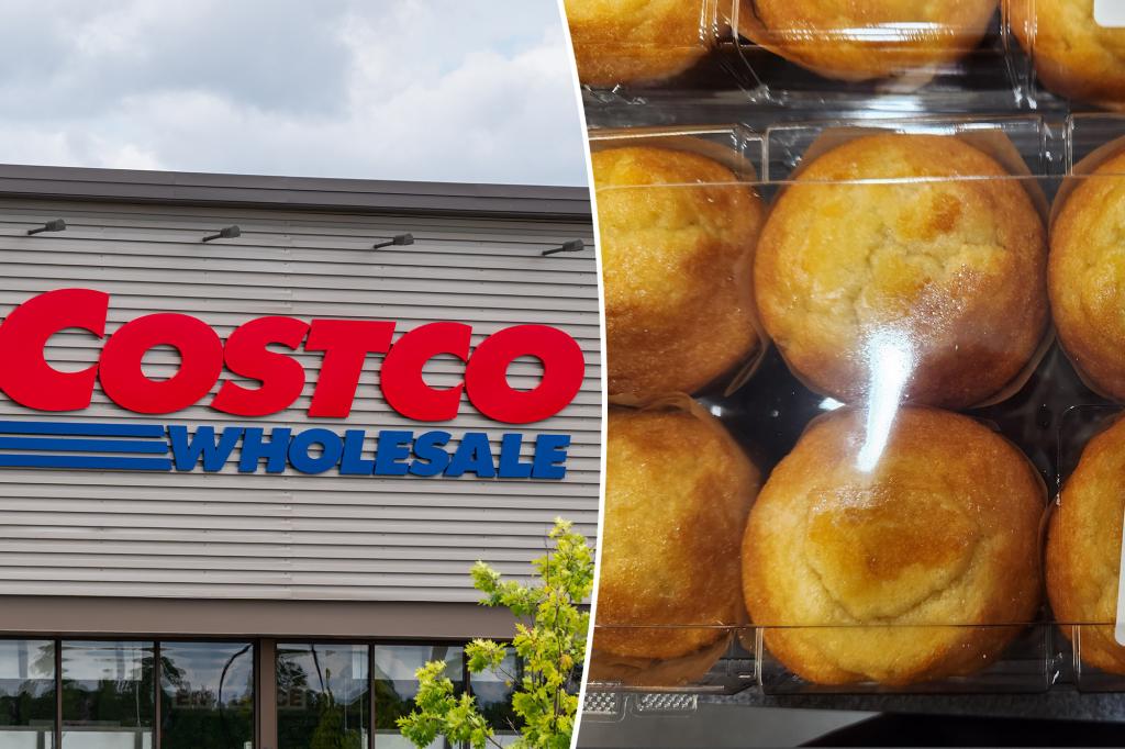 Costco buyers cannot get enough from this new furnace item